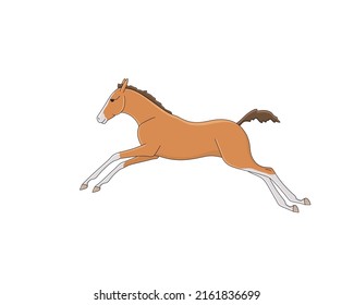 Cute foal frolics on the loose