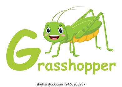 Cute font alphabet G for grasshopper cartoon characters