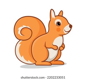 Cute forest animal concept. Sticker with beautiful fluffy squirrel. Mammal or herbivore. Design element for decorative poster or banner. Cartoon flat vector illustration isolated on white background