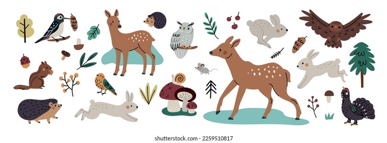 	
Cute forest animals collection. Owl, deer, hare, hedgehog, birds, squirrel, woodpecker, chipmunk, black grouse. Hand drawn vector illustration set woodland animals, trees, mushrooms isolated