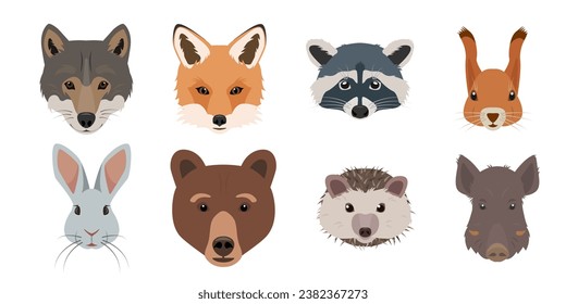 Cute Forest animals faces set. Wild woodland mammal animal head collection. Fox, wolf, hare and bear, Squirrel, boar, hedgehog and raccoon face. Vector illustration isolated on white background.