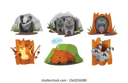 Cute Forest Animals Peepped Out From Their Burrows Vector Set