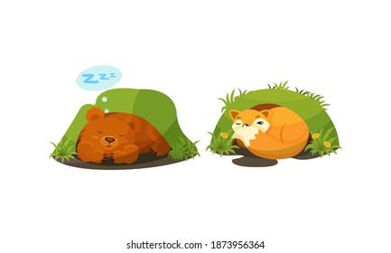 Cute Forest Animals Peepped Out From Their Burrows Vector Set