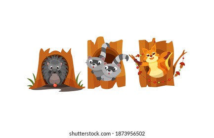 Cute Forest Animals Peepped Out From Their Burrows Vector Set