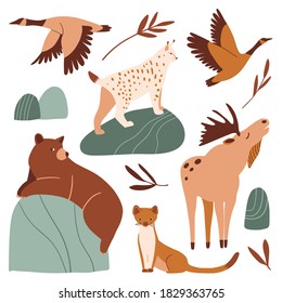 Cute forest animals set. Funny bear, lynx, moose, marten, birds. Hand drawn cartoon characters, stones and plants. Woodland texture for kids. Flat nature illustration. Wildlife zoo vector collection