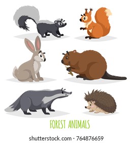 Cute forest animals set. Skunk, hedgehog, hare, squirrel, badger and beaver. Funny comic creature collection. Vector educational illstrations.