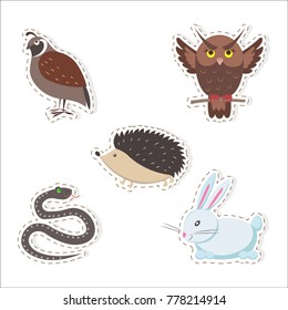 Cute forest animals stickers isolated on white background. Thick hazel grouse, brown owl, small hedgehog, fluffy rabbit and wriggling snake vector illustrations set. Cartoon funny creatures pictures.