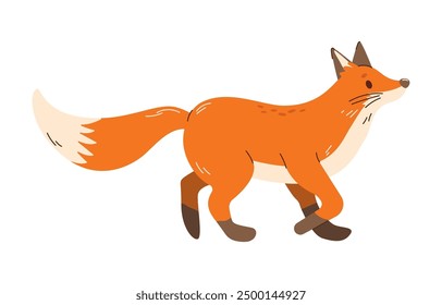 Animales lindos del otoño del bosque. Zorro de dibujos animados para la temporada de otoño. Pegatinas y Clipart de la temporada de otoño. Diseño de Acción de Gracias en blanco.	
