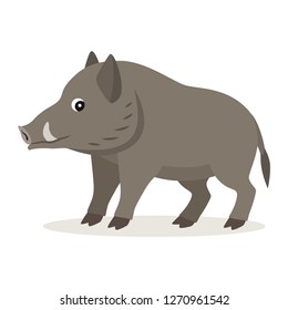 Cute forest, cartoon woodland animal, gray boar icon isolated on white background, vector illustration
