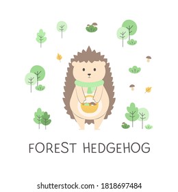 Cute forest hedgehog
among trees, mushrooms, bushes and leaves with the name created for children's textiles