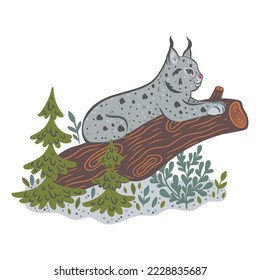 Cute forest lynx isolated on white background. Vector graphics.