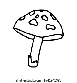 Cute forest mushroom design element. Сoncept nature. Hand drawn vector illustration in doodle style outline drawing isolated on white background.