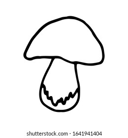 Cute forest mushroom design element. Сoncept nature. Hand drawn vector illustration in doodle style outline drawing isolated on white background.