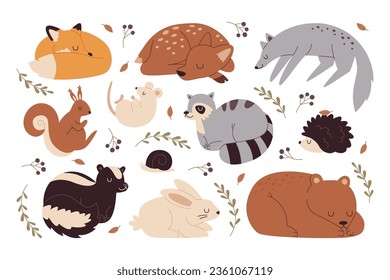 Animales Cute Forest Sleepy Set Vector Illustration