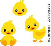 Cute Forward Looking Duck Vector Set with Transparent Background