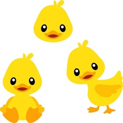 Cute Forward Looking Duck Vector Set With Transparent Background