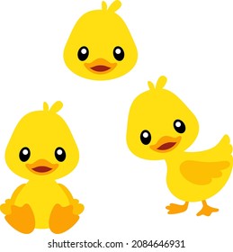 Cute Forward Looking Duck Vector Set with Transparent Background