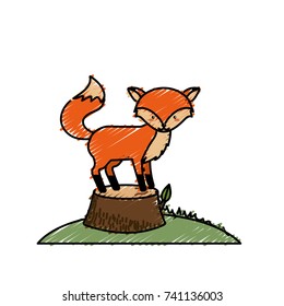 cute fox animal in bole wood tree