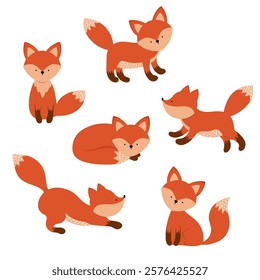 Cute fox, animal in different poses. Red forest characters, foxy wildlife, nature fun standing beautiful mammal. 