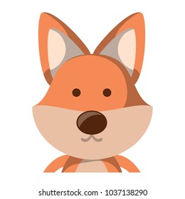 cute fox  animal icon over white background, colorful design. vector illustration