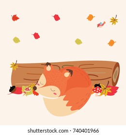 cute fox in autumn