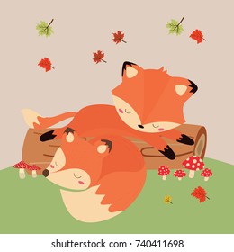 Cute fox in autumn