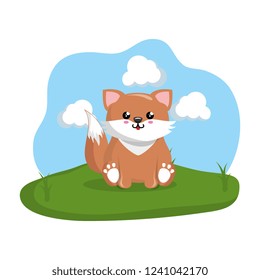 cute fox in the camp