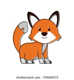 Cute fox cartoon