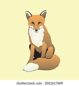 cute fox cartoon illustration, fox cartoon vector 