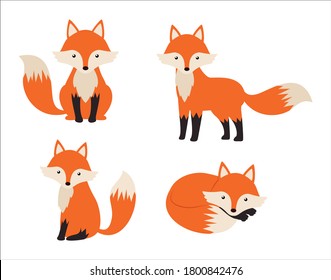 Cute fox cartoon set isolated on white background - Vector illustration