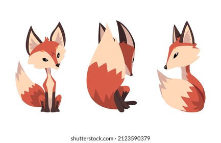 Cute Fox Character with Bushy Brush Tail and Triangular Ears Vector Set