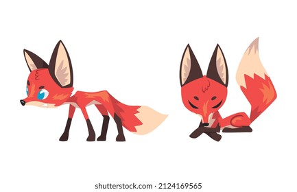 Cute Fox Character with Bushy Brush Tail and Triangular Ears Vector Set