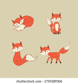 Cute Fox Character Vector Set