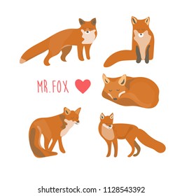 cute fox collection card. children book element. sleeping animal, wildlife, forest, wood. beautiful baby fox.