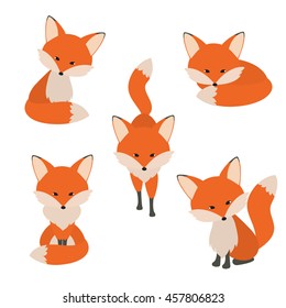 Cute fox collection. vector illustration