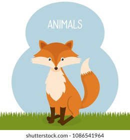 cute fox in the field landscape character