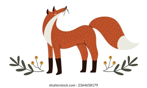 Cute fox with a fluffy tail, standing and looking up, hand drawn isolated vector illustration