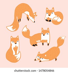 Cute Fox Hand Drawn Collection Set