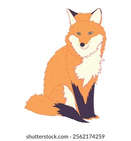 Cute fox illustration, perfect for kids, animal-themed designs, educational materials, and playful art.