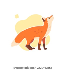Cute fox isolated vector image