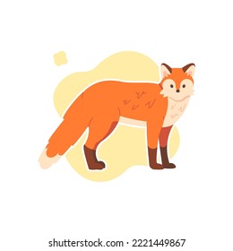 Cute fox isolated vector image