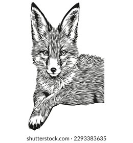 Cute fox on white background, hand draw illustration fox cub
