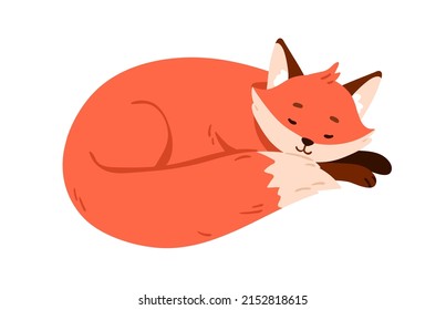 Cute fox pup sleeping, relaxing. Wild animal asleep, curled up in fetal position. Sweet sleepy cub lying and dreaming. Lovely forest character. Flat vector illustration isolated on white background