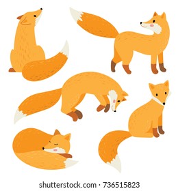 cute fox set