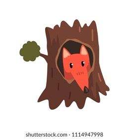 Cute fox sitting in hollow of tree, hollowed out old tree and cute animal cartoon character inside vector Illustration on a white background