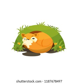 Cute fox sleeping in a den vector Illustration on a white background