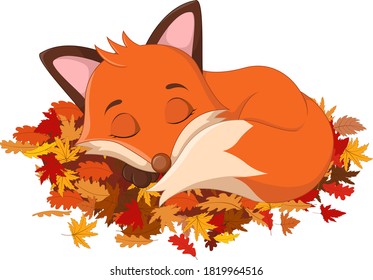 Cute fox sleeping on autumn leaves