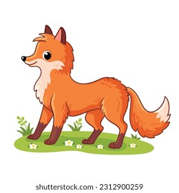 Cute fox stands on a green summer meadow. Beautiful vector illustration with a forest animal in a cartoon style.
