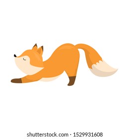 Cute fox stretching on four legs. Vector illustration isolated on white background