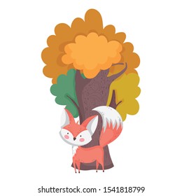 cute fox tree foliage autumn on white background vector illustration